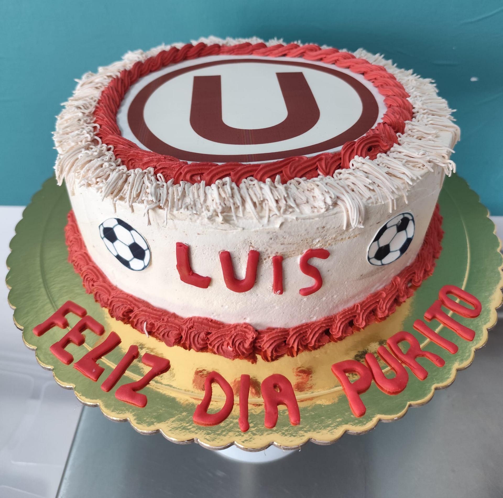 Cumpleaños infantil · Universitario Luis Purito