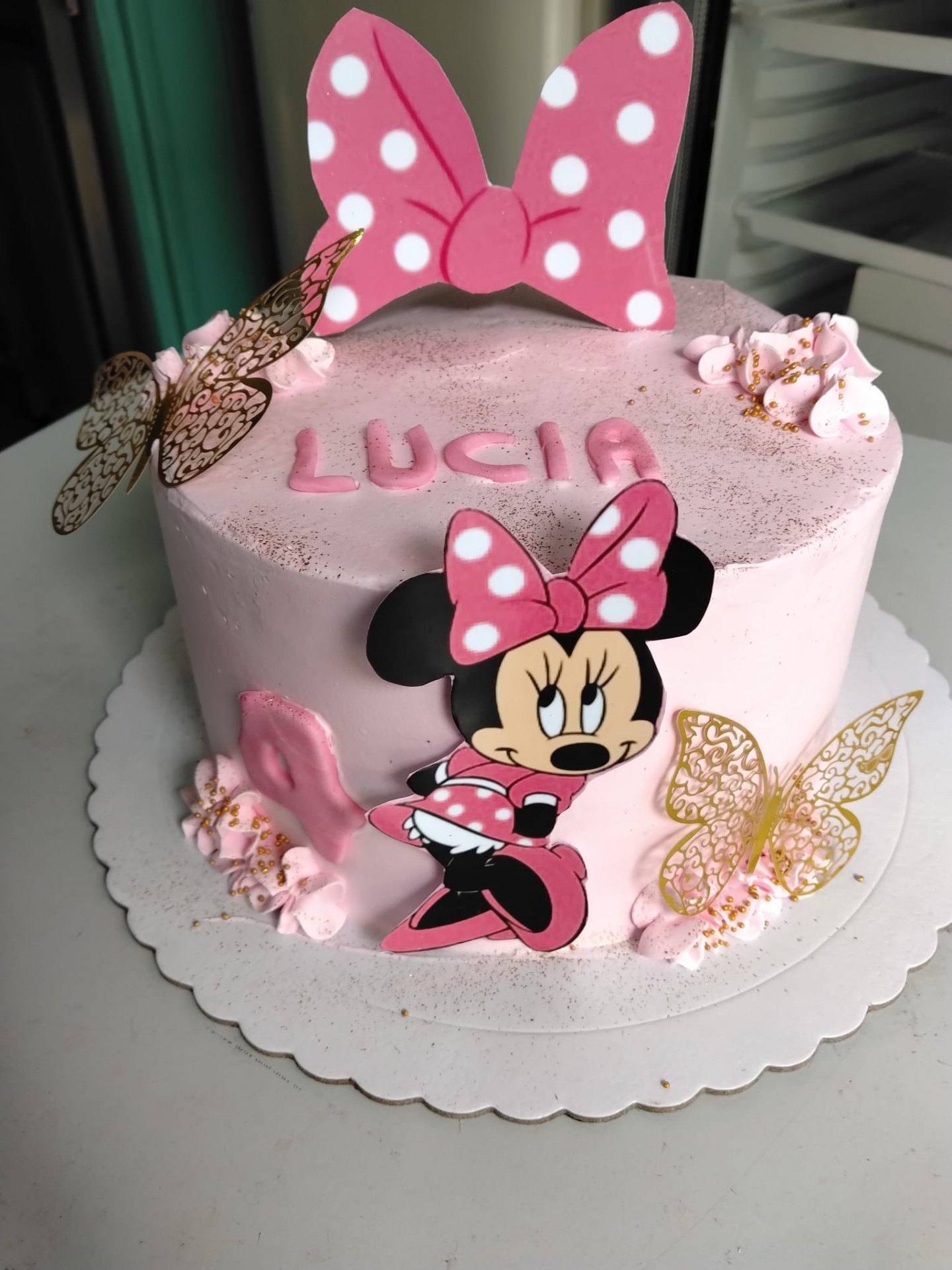 Cumpleaños infantil · Minnie Lucía