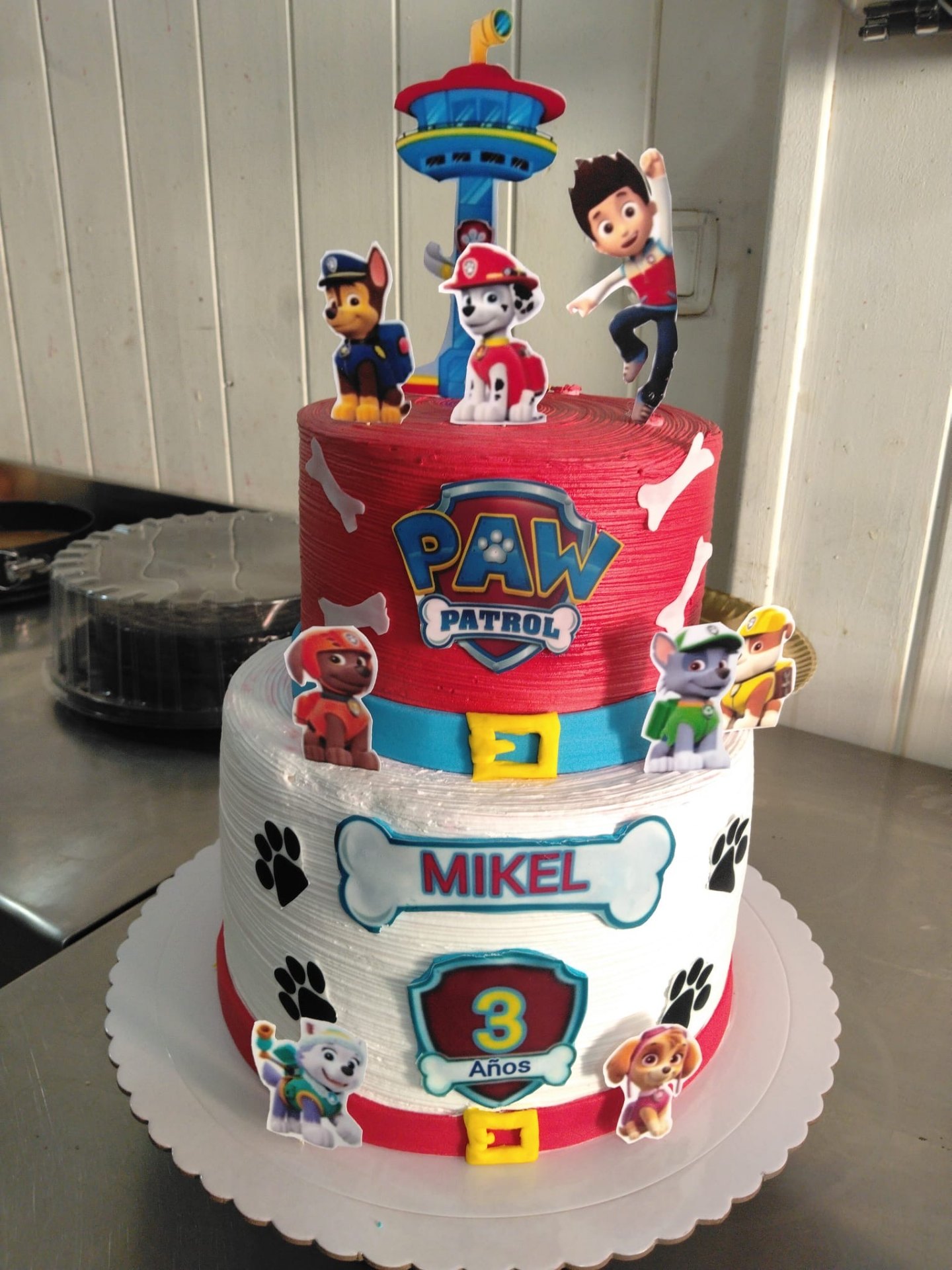 Cumpleaños infantil · Paw Patrol Mikel