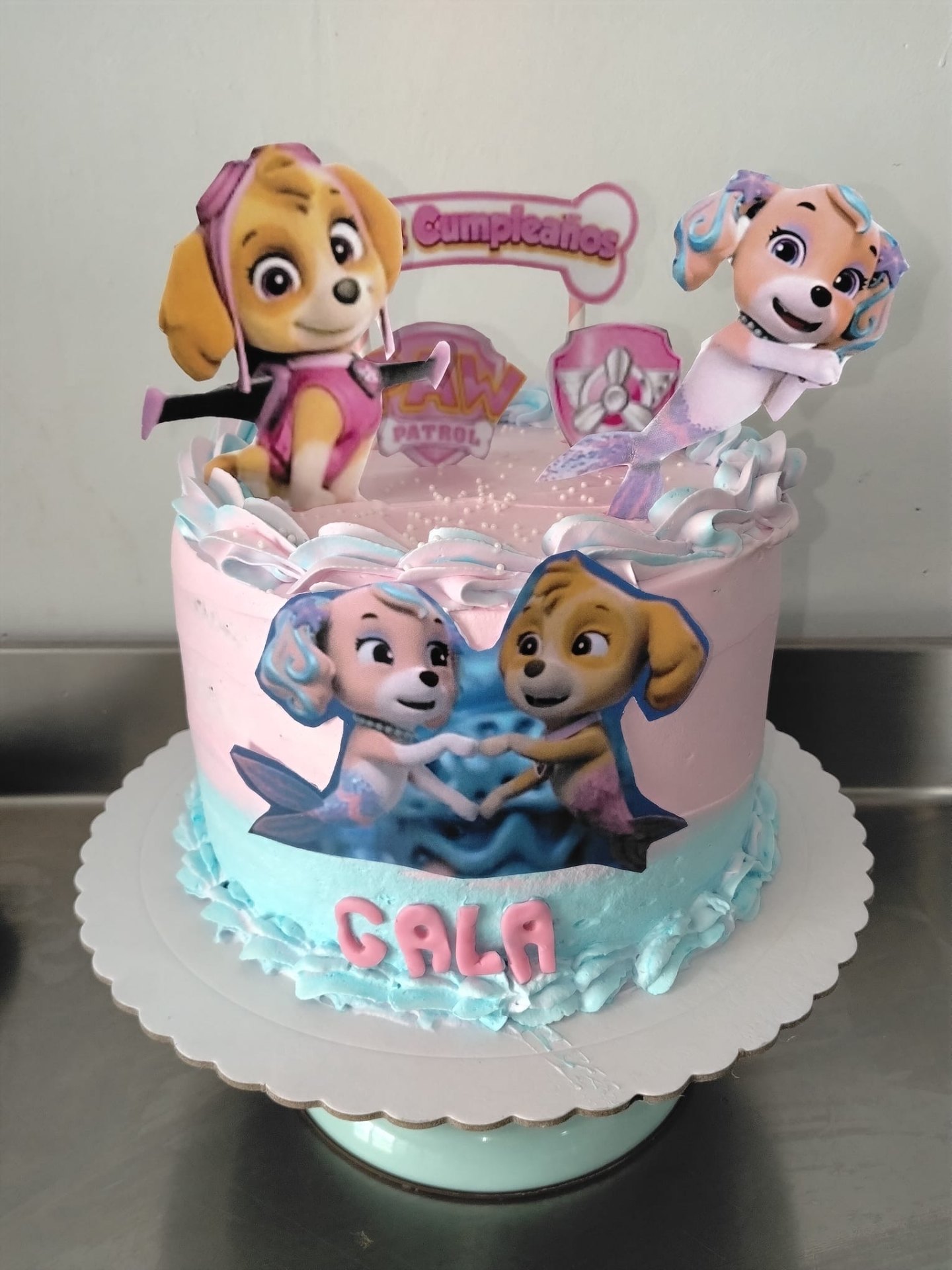 Cumpleaños infantil · Paw Patrol Gala